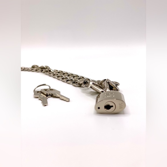 LOUIS VUITTON Bundle Silver Lock + Key 318 + Chain + Box + Dust Bag - Picture 5 of 8